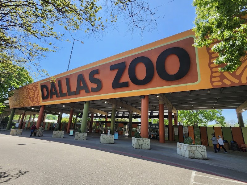 Family Adventure: Dallas Zoo Safari Secrets at Dallas Zoo