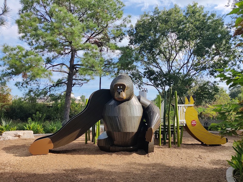H-E-B Gorilla Forest at H-E-B Gorilla Forest