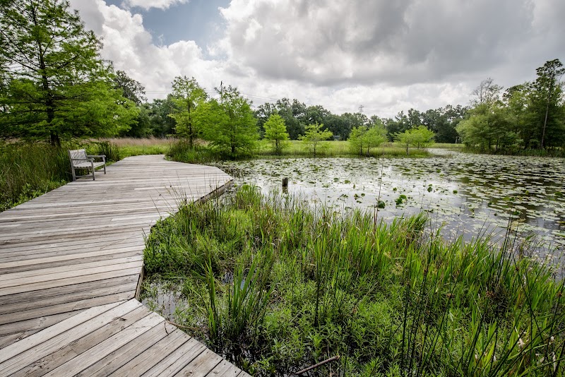 Nature Playscape at Nature Playscape