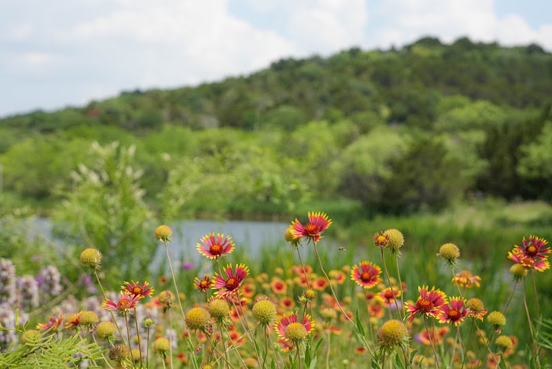 Wild Wednesdays at Cedar Ridge Preserve